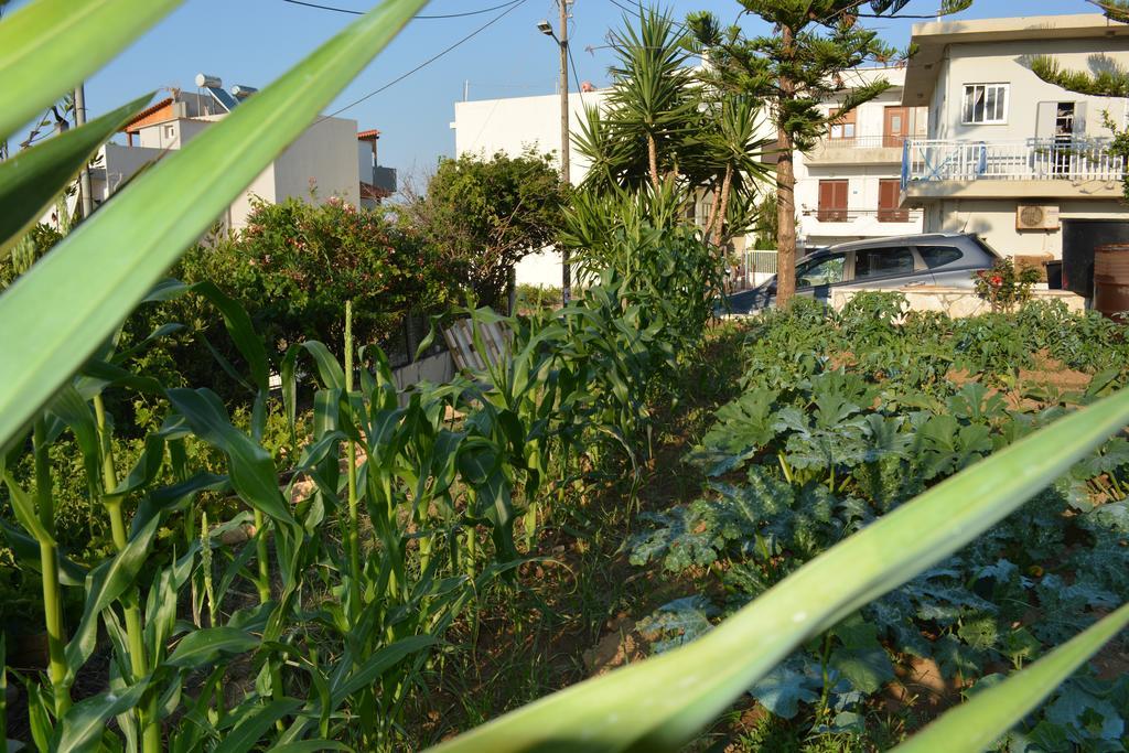 Thegaia Studios Rethymno Exteriér fotografie